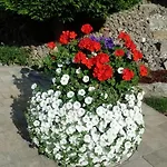 Seegarten