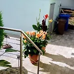 Seegarten *