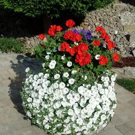 Seegarten