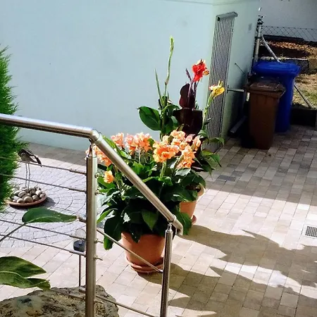 Seegarten *